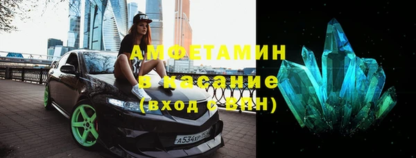 стаф Ельня