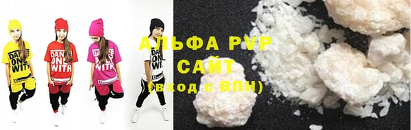 стаф Ельня