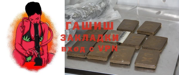 стаф Ельня