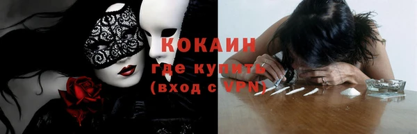стаф Ельня