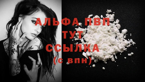 стаф Ельня