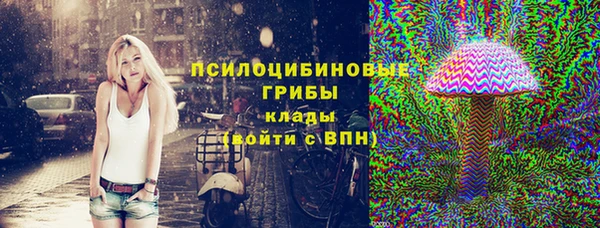 Альфа ПВП Дмитровск