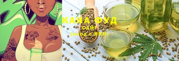 стаф Ельня