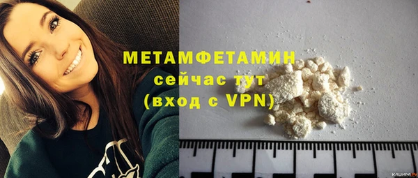 стаф Ельня