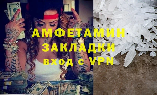 стаф Ельня