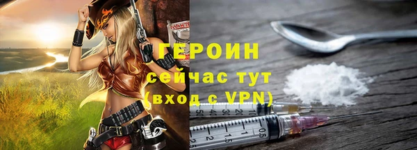 стаф Ельня