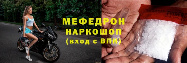 стаф Ельня