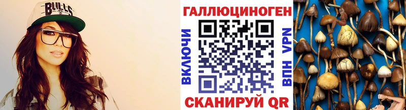 Псилоцибиновые грибы мицелий  Купить где  Георгиевск 